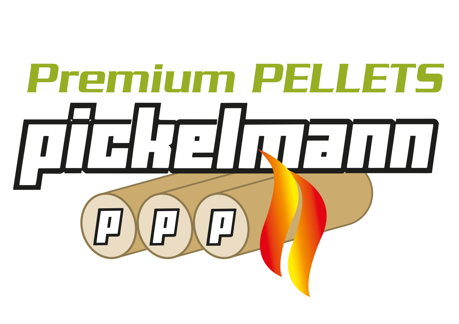 _wpframe_custom/gallery/files/wpf_sites_paragraphs_parts/t_ppplogo_vektorpng_1637754714.png